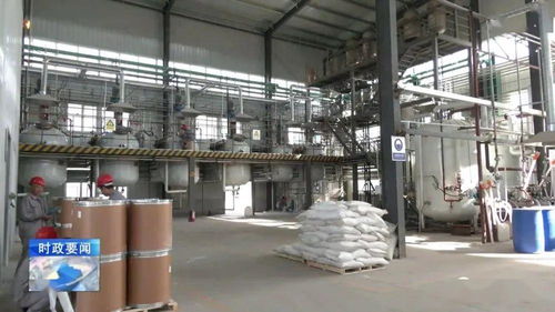 牢記囑托 乘勢而上 李哲調研城西機電化工產業集聚區，強調安全高效推動化工生產