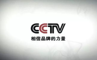 雷軍 努力工作，克制貪婪——數(shù)字廣告時(shí)代的智慧箴言